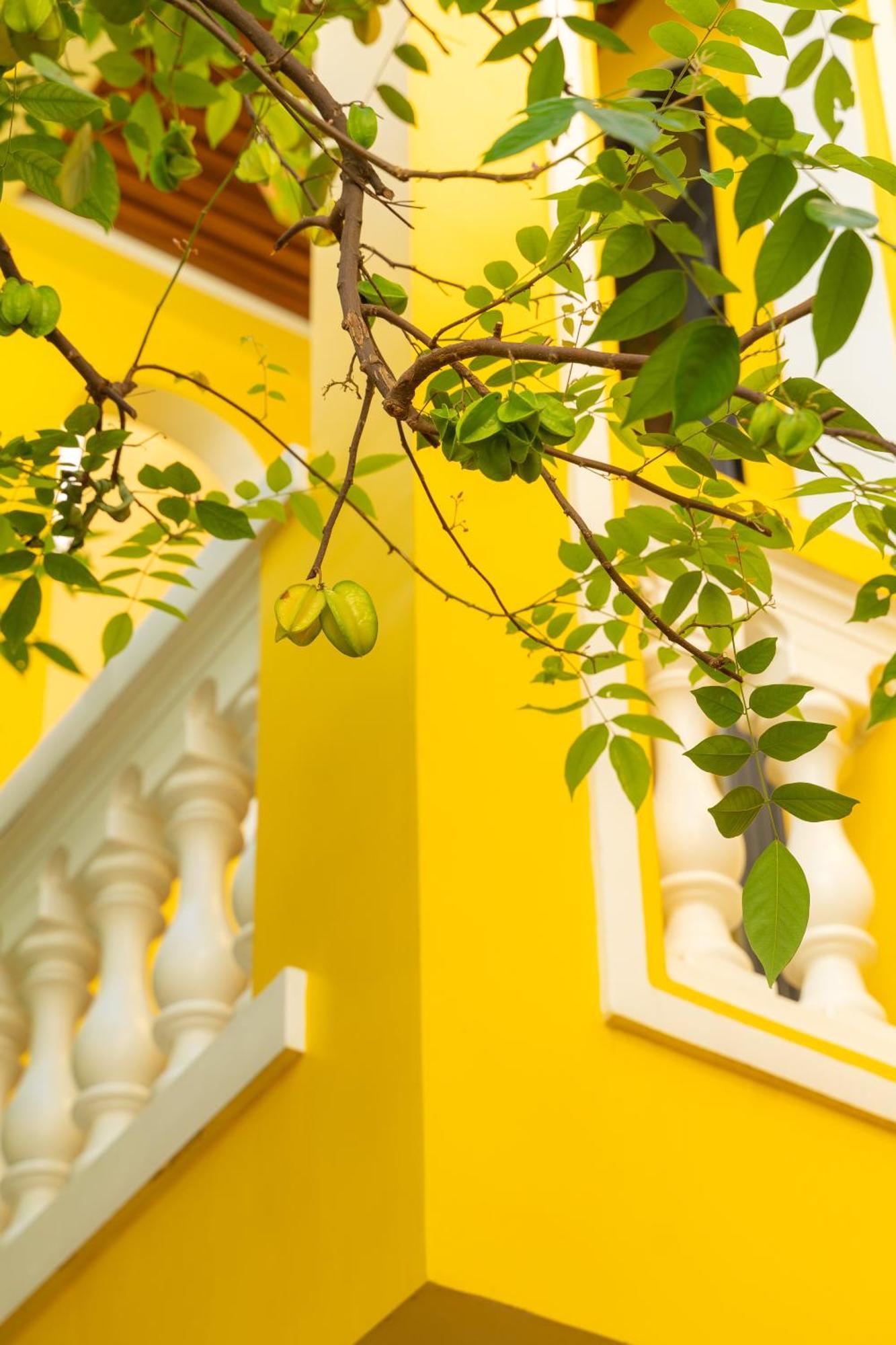 Quyen'S House Homestay Хоян Екстер'єр фото